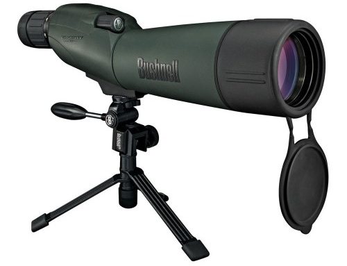 博士能bushnell单筒望远镜奖杯 786520 20-60X65